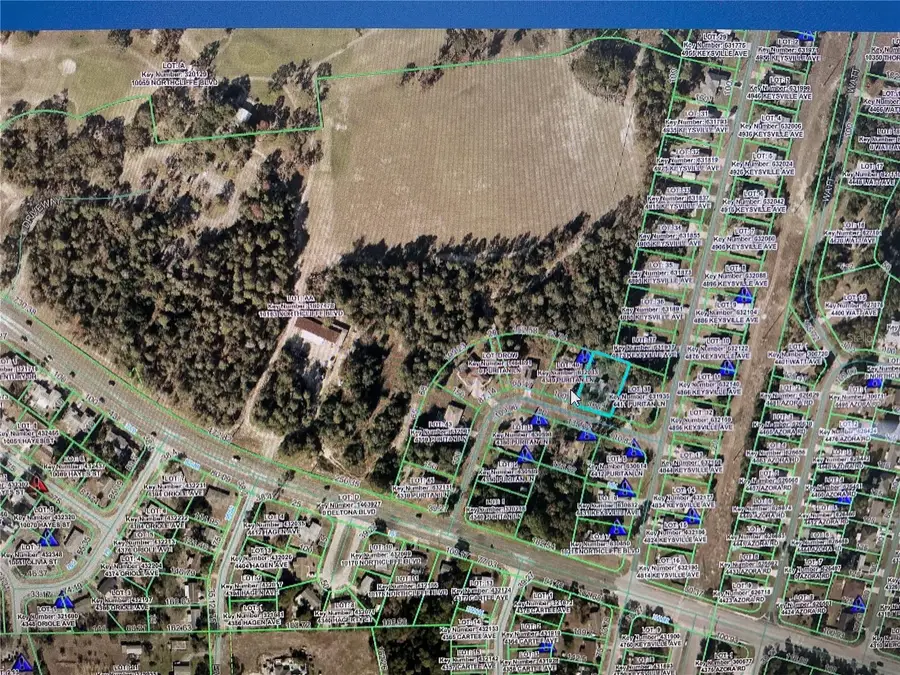 4399 Puritan Lane, Spring Hill, FL 34608 - #3