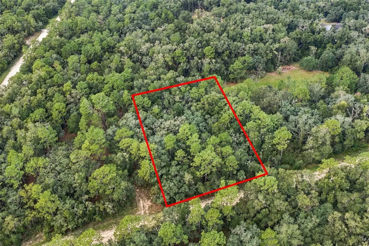 Elaine Drive, Webster, FL 33597 - #1