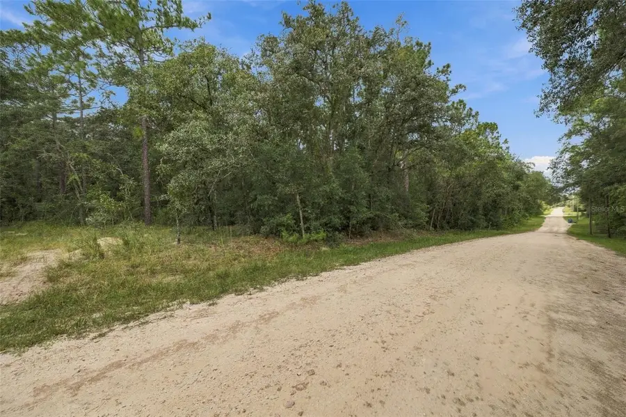 Elaine Drive, Webster, FL 33597 - #2