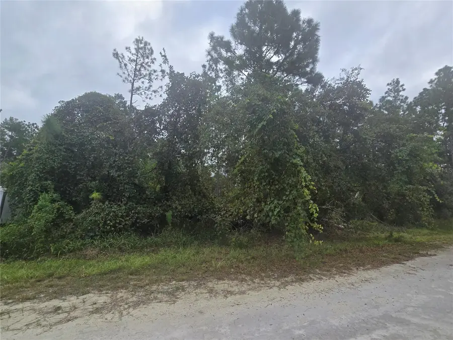English Sparrow Road, Weeki Wachee, FL 34614 - #3