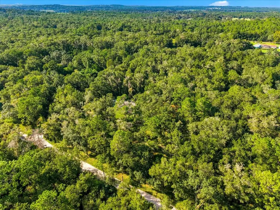 24403 Mccaw Road, Brooksville, FL 34601 - #3