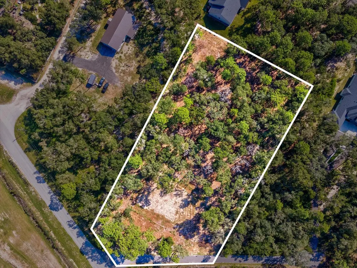 15504 Lenway Road, Spring Hill, FL 34610 - #1