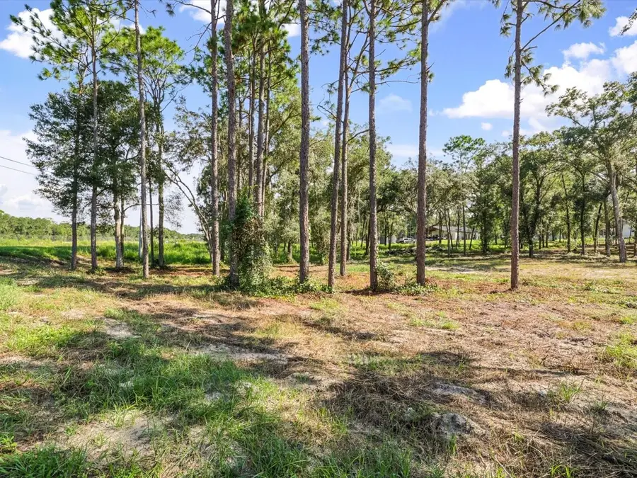 15504 Lenway Road, Spring Hill, FL 34610 - #3