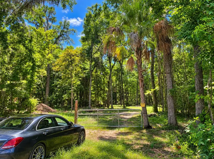 Snow Memorial, Brooksville, FL 34601 - #2