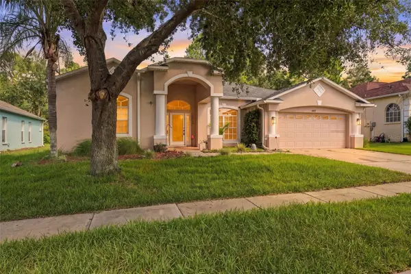 14617 Edgemere Drive, SPRING HILL, FL 34609