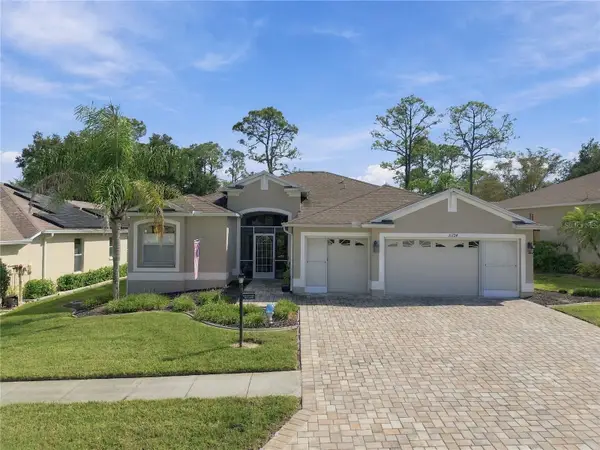 11724 Wayside Willow Court, HUDSON, FL 34667
