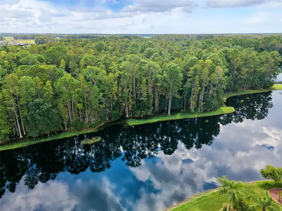 1300 Trimaran Place, Trinity, FL 34655 - #3