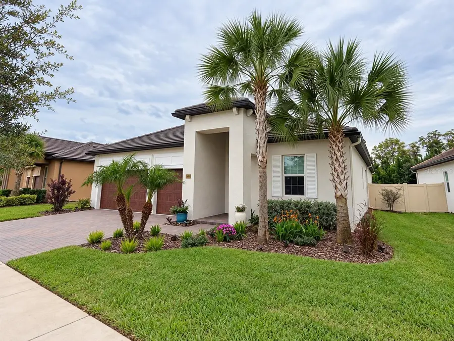 17022 Forge Surf Street, Land O Lakes, FL 34638 - #2