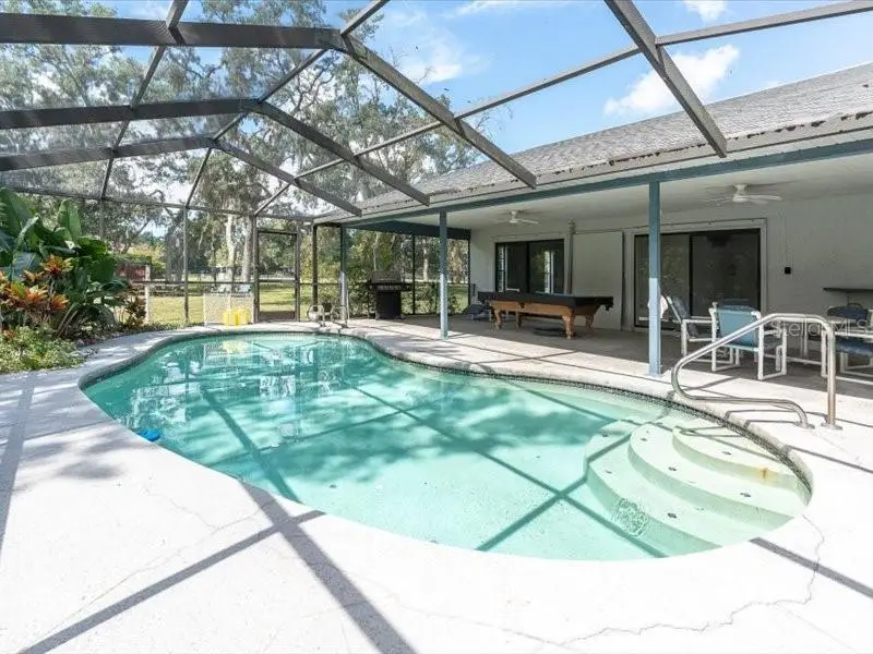 11211 Pine Forest Drive, New Port Richey, FL 34654 - #2