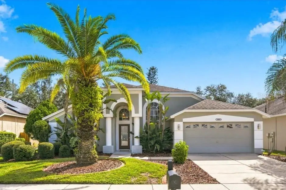 18009 Palm Breeze Drive, Tampa, FL 33647 - #1