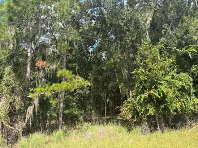 Pine Cabin Road, Brooksville, FL 34601 - #3