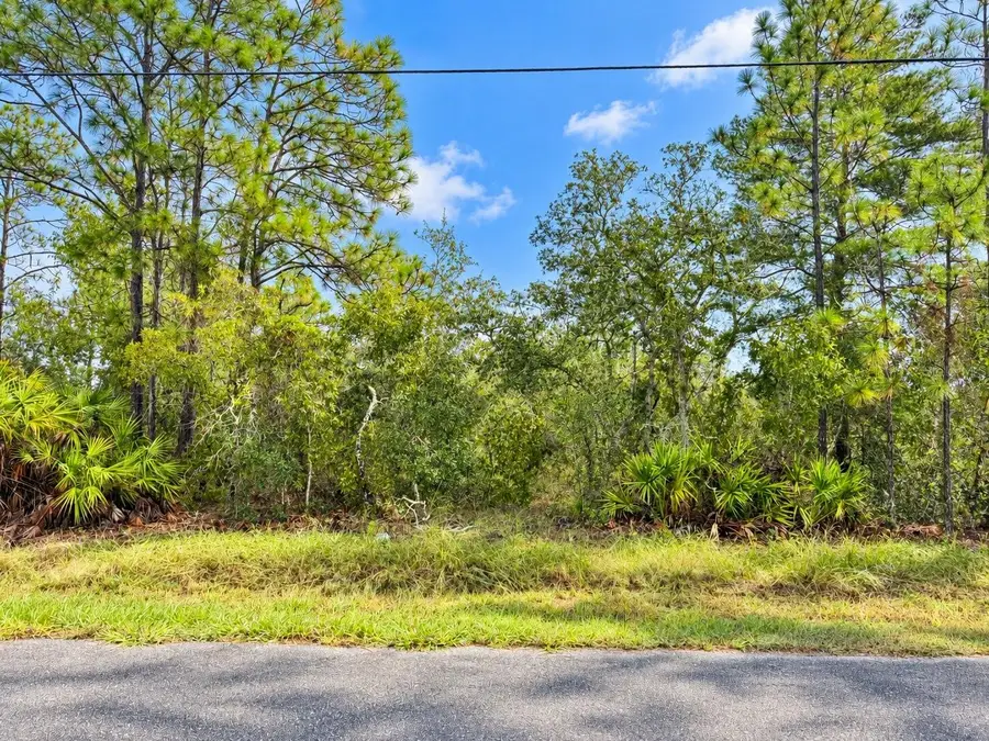 13052 Jaywalk Road, Weeki Wachee, FL 34614 - #2