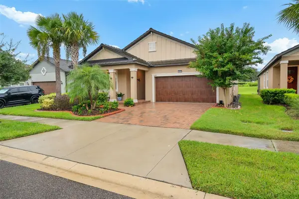 31687 Cabana Rye Avenue, SAN ANTONIO, FL 33576