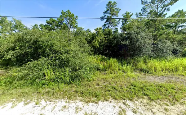 7301 Bahama Swallow Avenue, WEEKI WACHEE, FL 34613