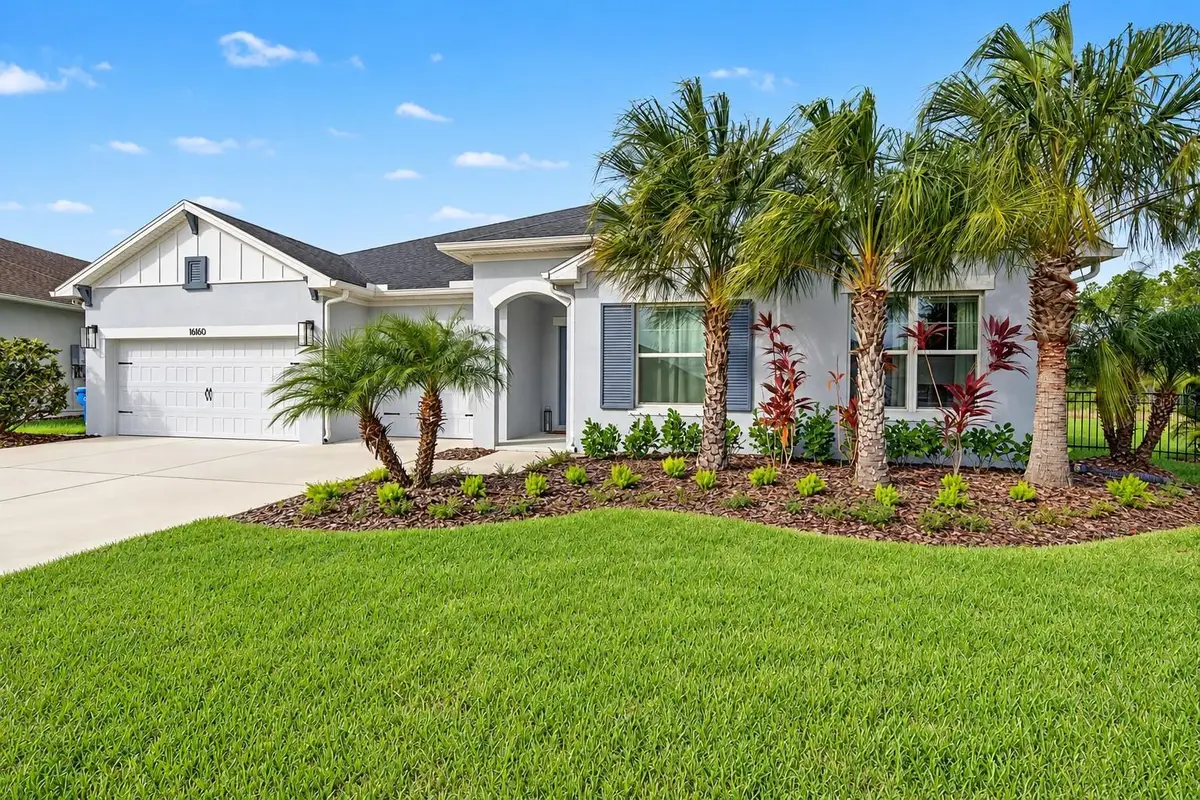 16160 November Rain Court, Land O Lakes, FL 34638 - #1
