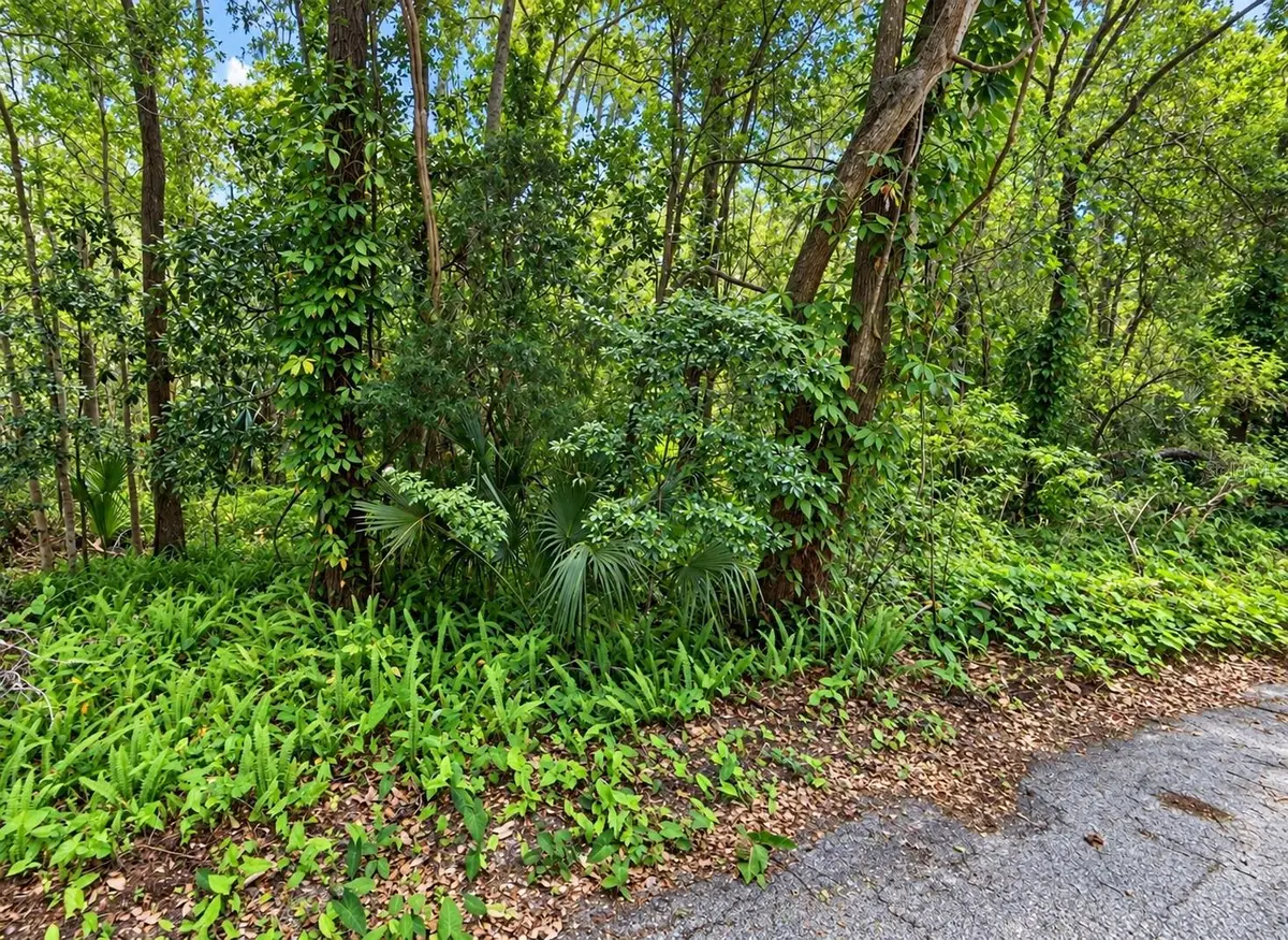 0 Olive Street, Brooksville, FL 34601 - #1