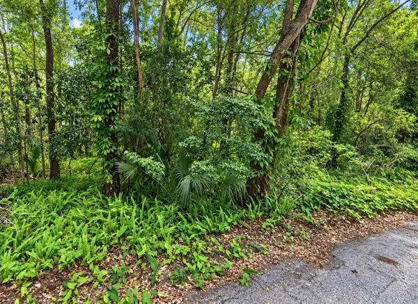 0 Olive Street, BROOKSVILLE, FL 34601