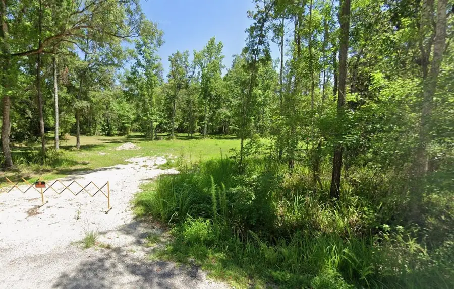 0 Ray Browning Road, Brooksville, FL 34601 - #3