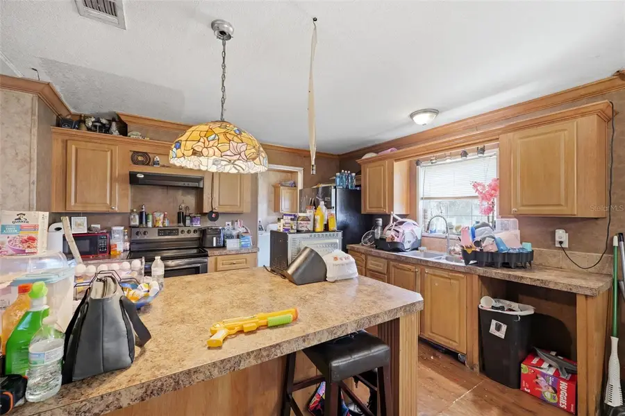 39522 River Road, Dade City, FL 33525 - #3