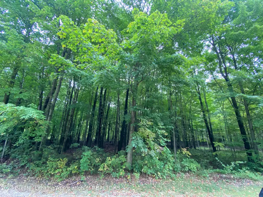 V/l #5 Brookshire Drive, Chesaning, MI 48616 - #3