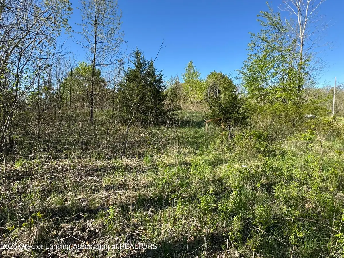 Lot C Stoney Lane, Eaton Rapids, MI 48827 - Image #1