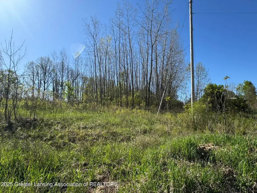 Lot C Stoney Lane, Eaton Rapids, MI 48827 - Image #2