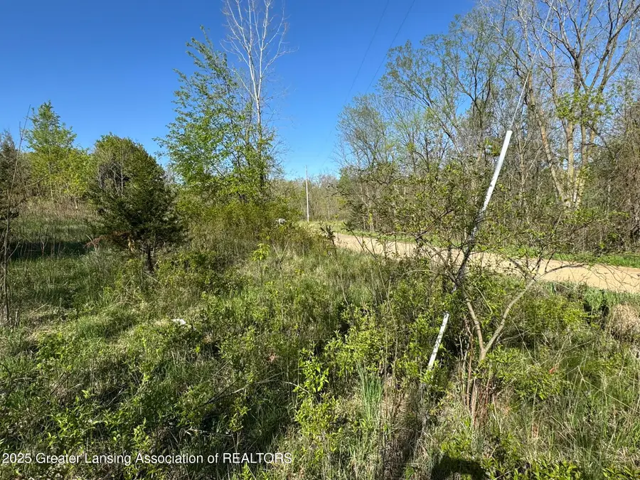 Lot C Stoney Lane, Eaton Rapids, MI 48827 - Image #3