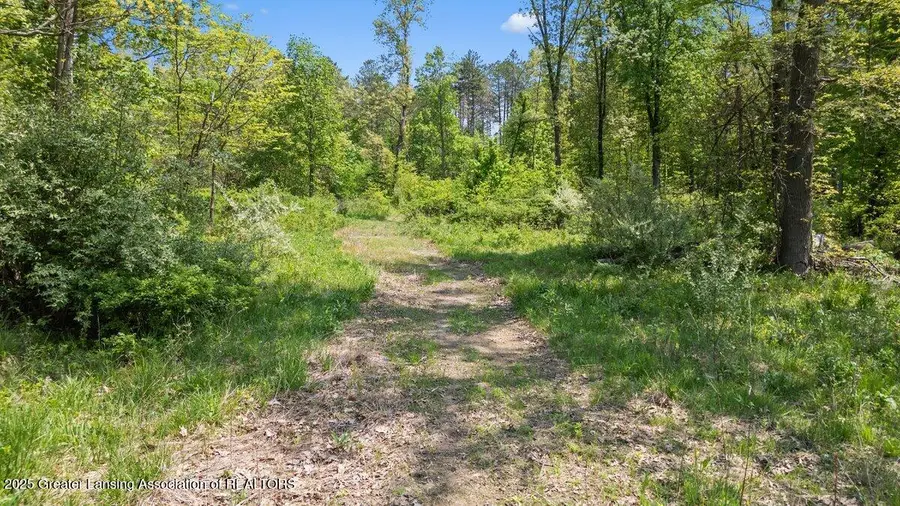 0 37th Street, Gobles, MI 49055 - Image #3