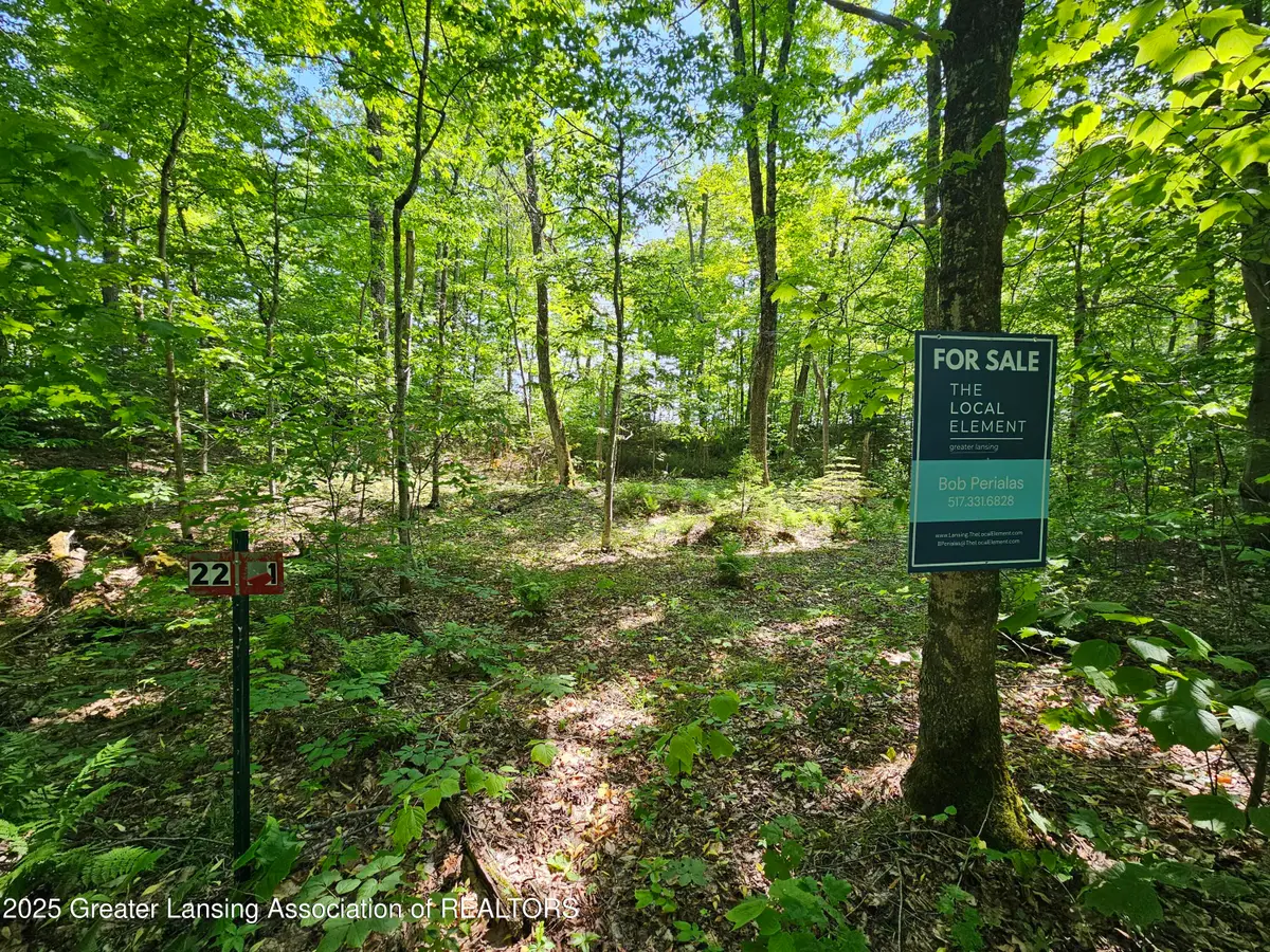 21 W Wildwood Lane, Moran, MI 49760 - Image #1