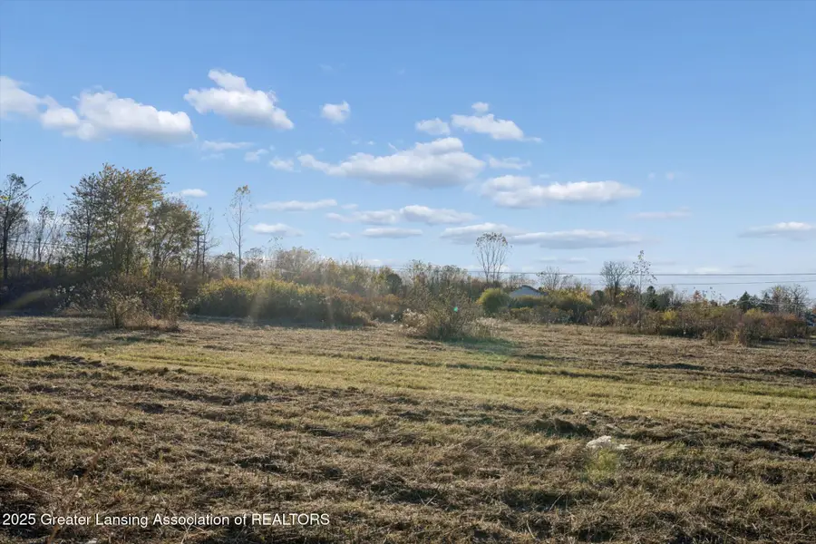 0 E Vermontville, Dimondale, MI 48821 - Image #3