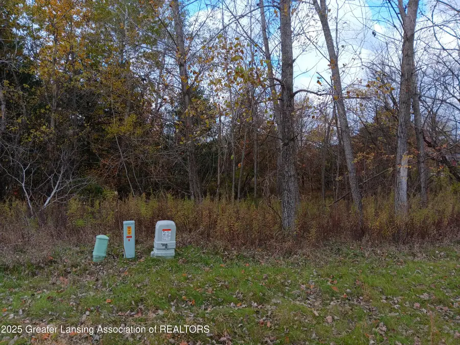 603 Country Drive, Perry, MI 48872 - Image #3