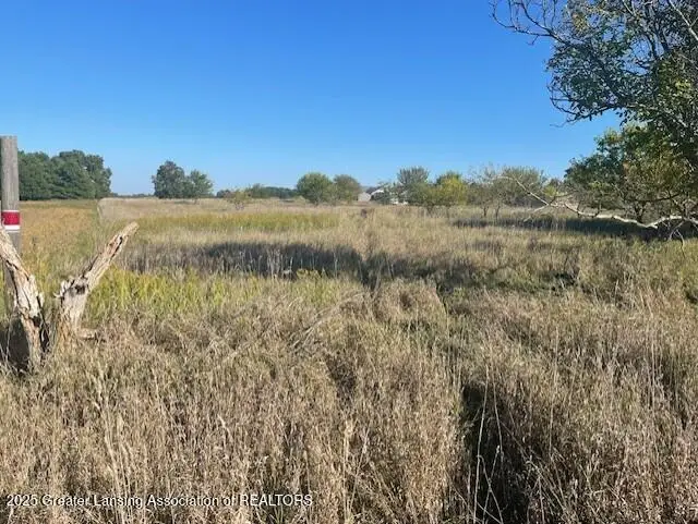 0 S Watson Road, Saint Johns, MI 48879 - Image #1