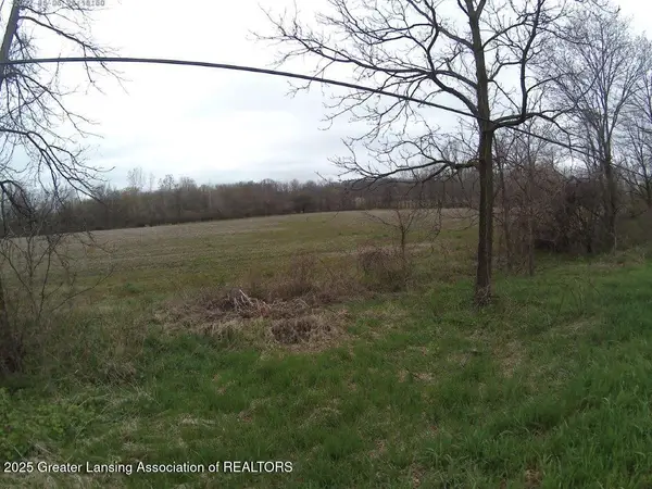 Vl Olds Road, Leslie, MI 49251