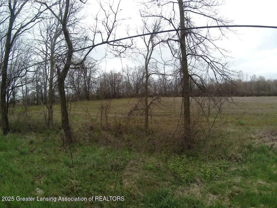 Vl Olds Road, Leslie, MI 49251 - Image #2