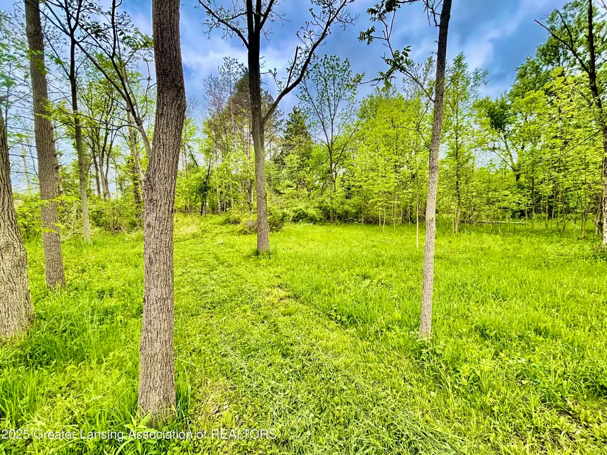 0 Lot B Willow, Lansing, MI 48917 - Image #1
