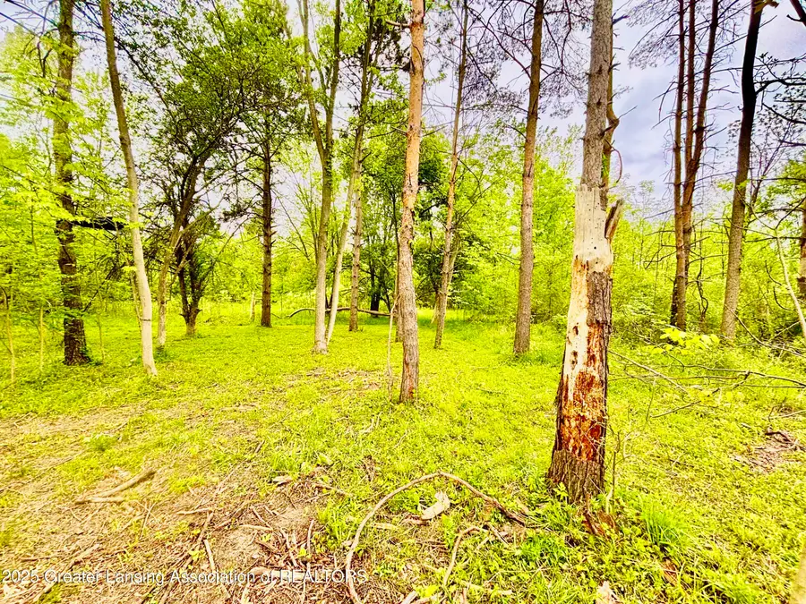 0 Lot B Willow, Lansing, MI 48917 - Image #2