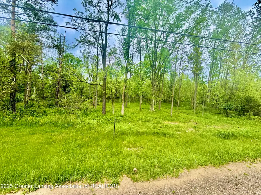 0 Lot C Willow, Lansing, MI 48917 - Image #3