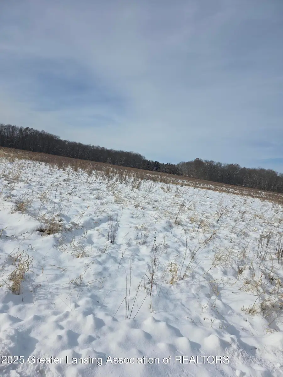 0 Dunn Road, Haslett, MI 48840 - Image #2