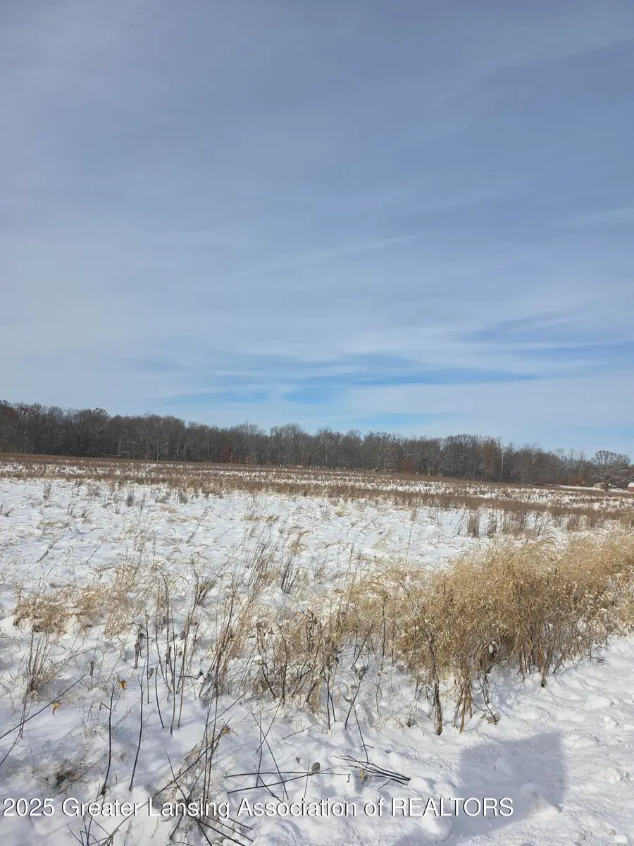 0 Dunn Road, Haslett, MI 48840 - Image #3