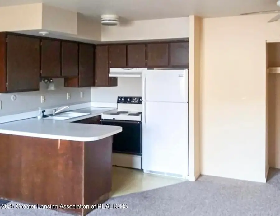 502 S East Street, Eaton Rapids, MI 48827 - Image #3