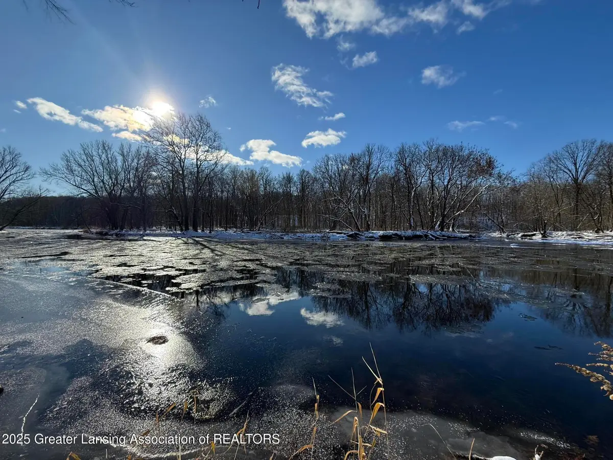 0 Island, Portland, MI 48875 - Image #1