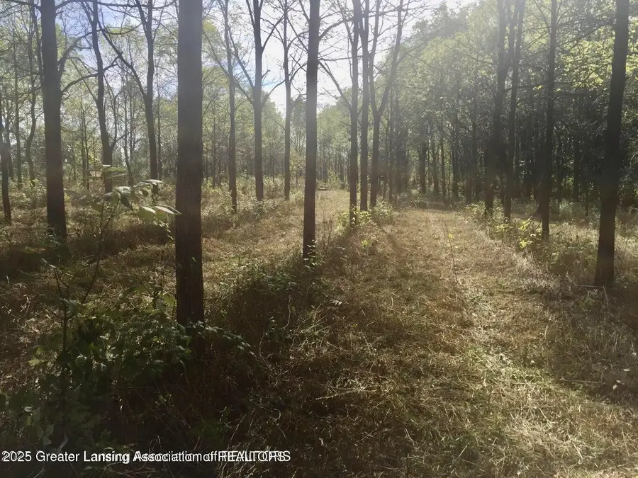 0 W Solon Road, Dewitt, MI 48820 - Image #2