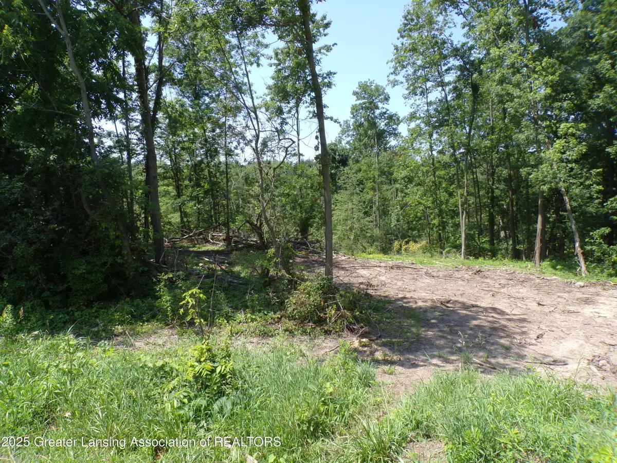 0 S Lacey Lake Road, Bellevue, MI 49021 - Image #1