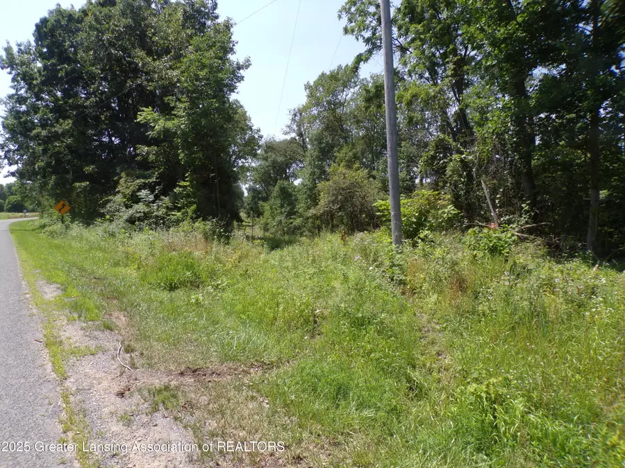 0 S Lacey Lake Road, Bellevue, MI 49021 - Image #2