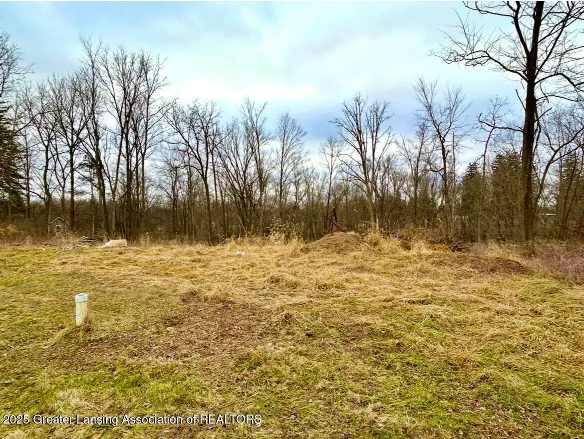 0 Spaulding Court, Bellevue, MI 49021 - Image #1