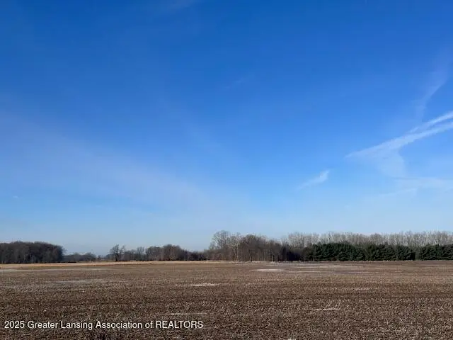 V/l S St Clair Road, Saint Johns, MI 48879 - Image #2