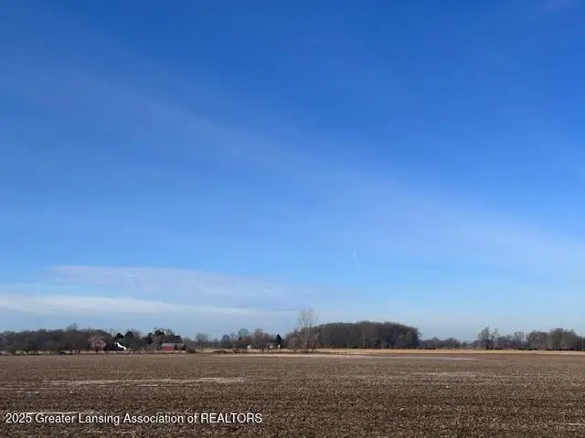 V/l S St Clair Road, Saint Johns, MI 48879 - Image #3