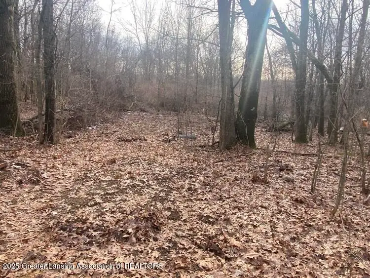 0 Kimberly Court, Onondaga, MI 49264 - Image #1