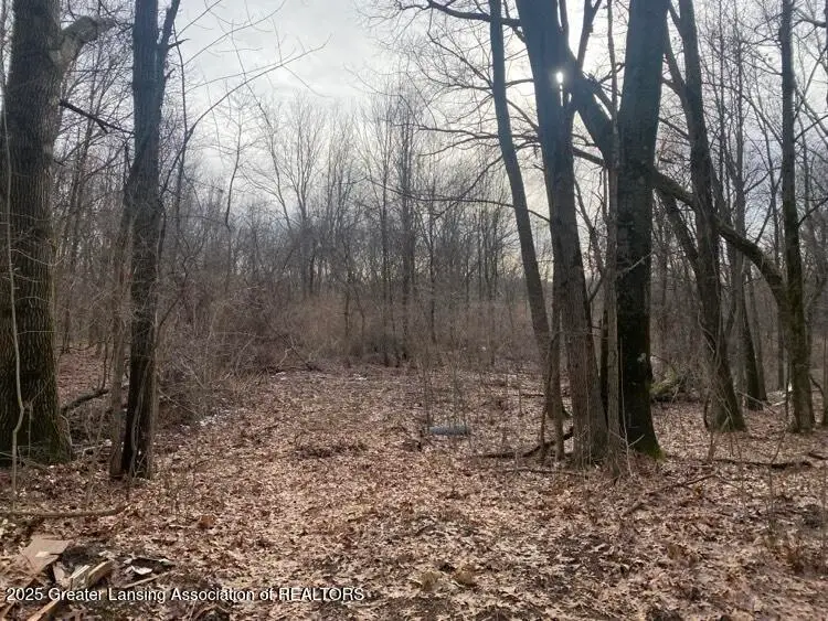 0 Kimberly Court, Onondaga, MI 49264 - Image #3