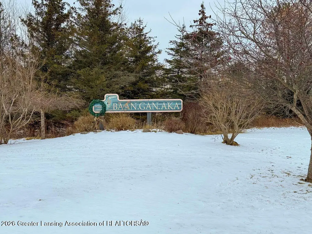 101 Daggertail Lane, Okemos, MI 48864 - Image #1